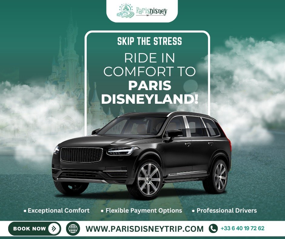 ParisDisney Trip social media post 3